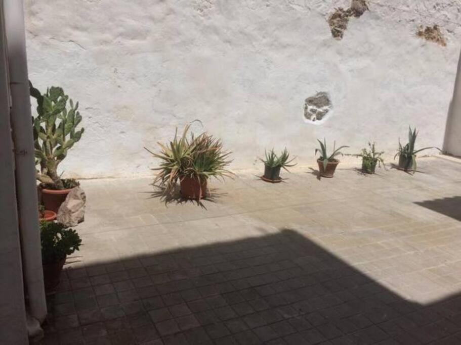 Сasa de vacaciones Casa Accogliente E Centrale A Due Passi Dal Mare *